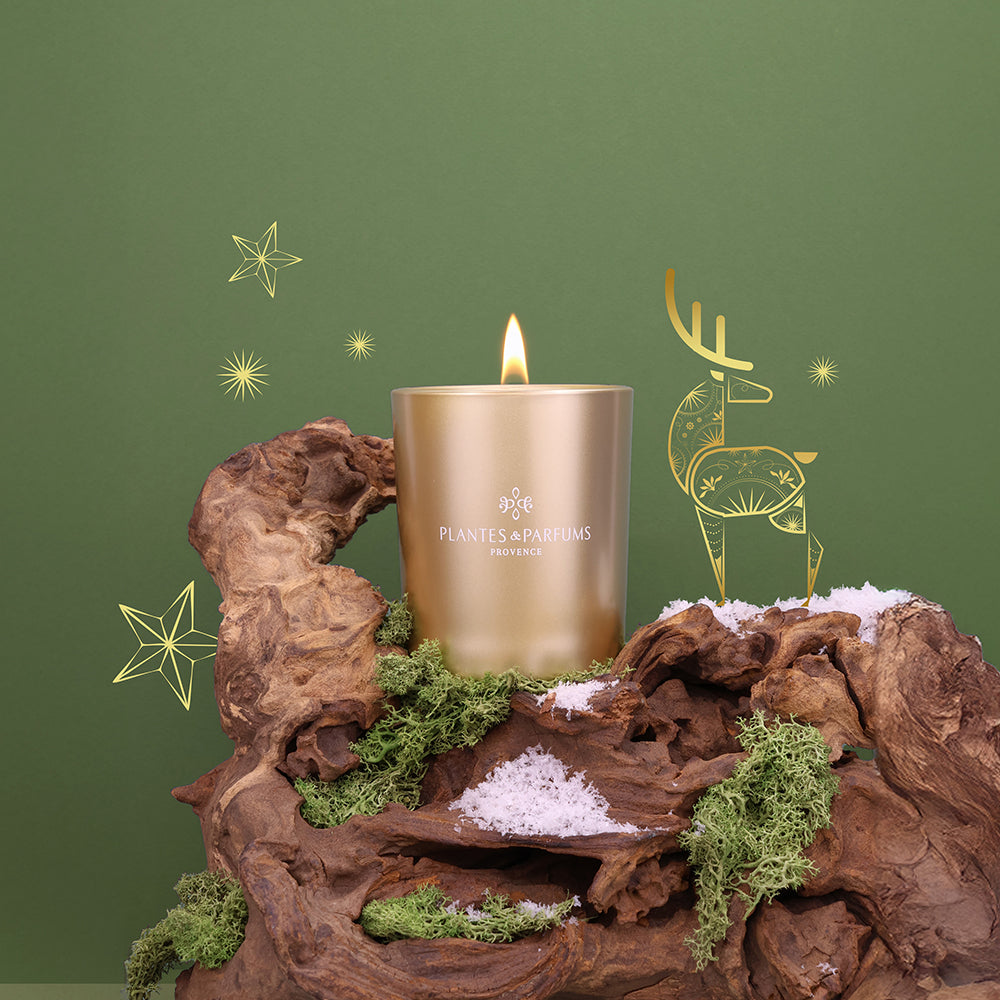聖誕蠟燭-Frosted Fir