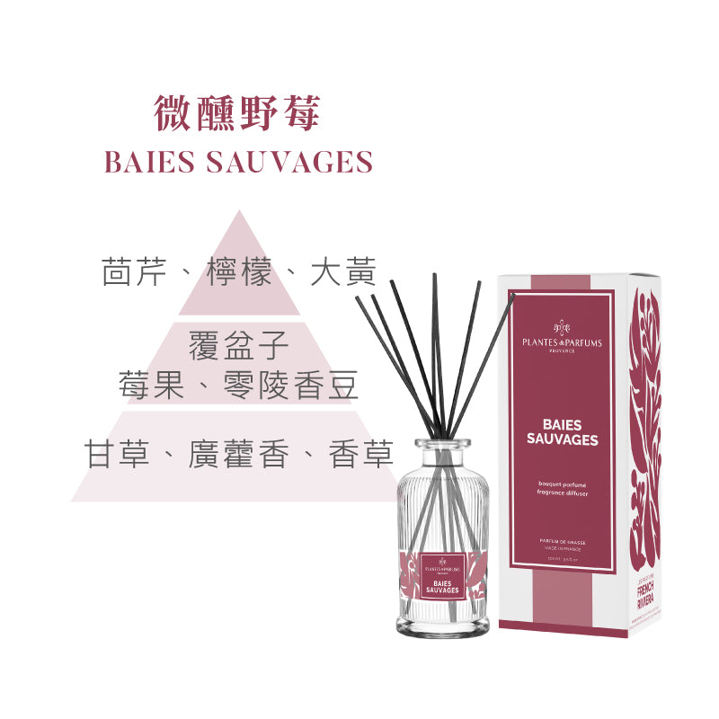 蔚藍海岸擴香竹