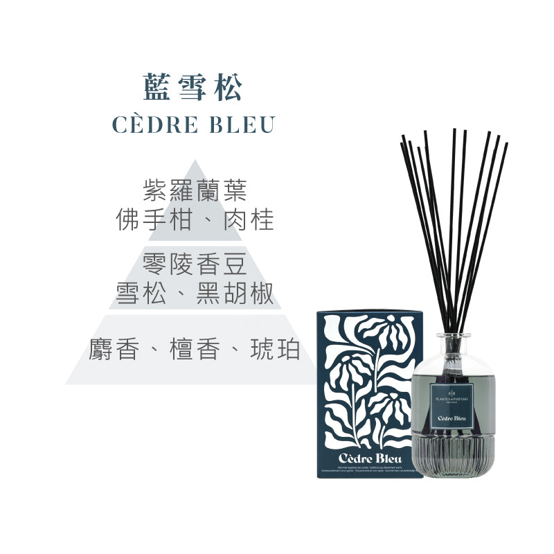藝境擴香竹