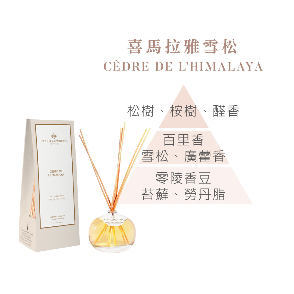 法式擴香竹-經典款