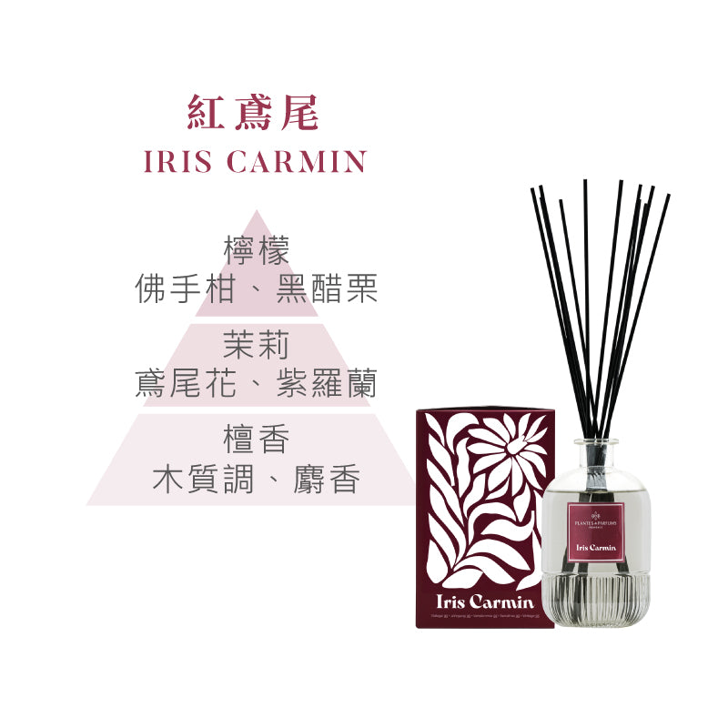 藝境擴香竹
