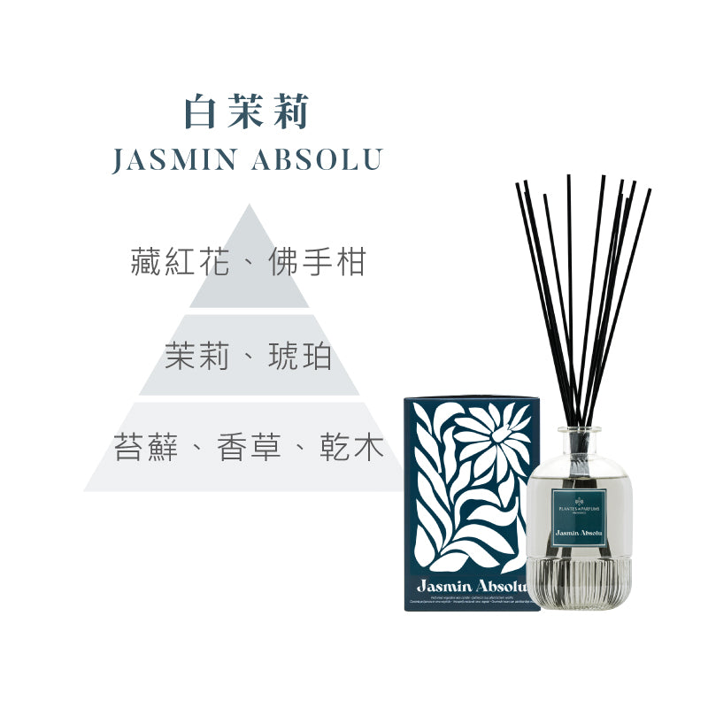 藝境擴香竹