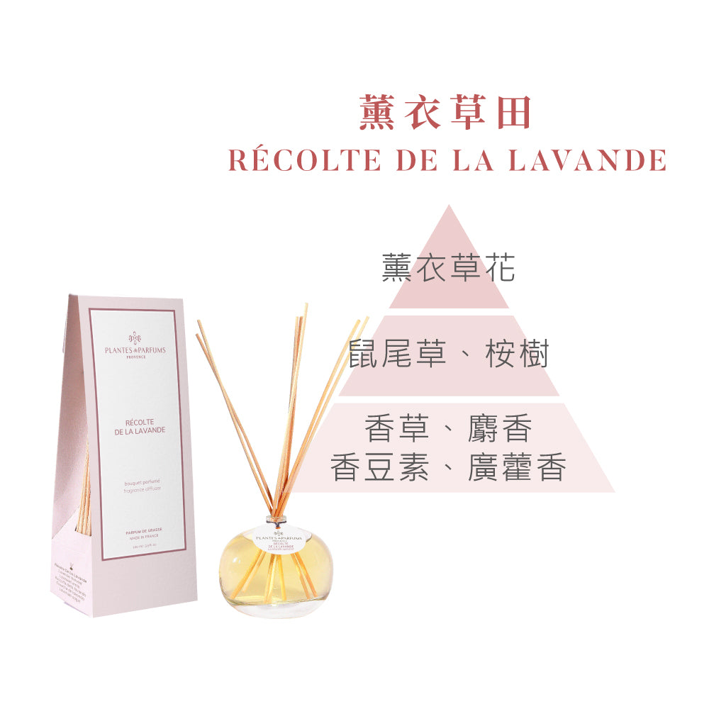 法式擴香竹-經典款