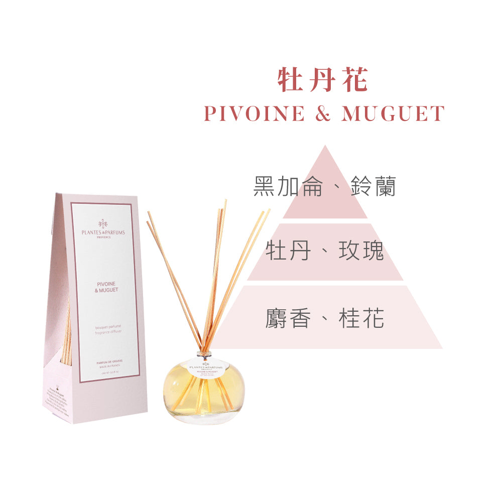 法式擴香竹-經典款
