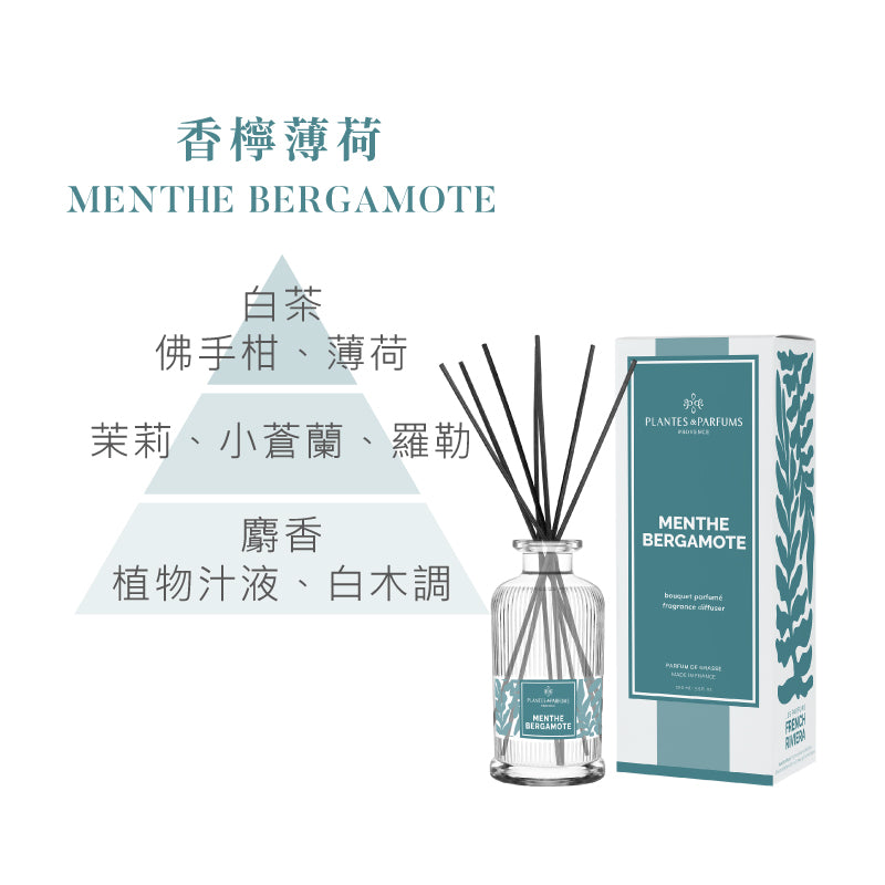 蔚藍海岸擴香竹