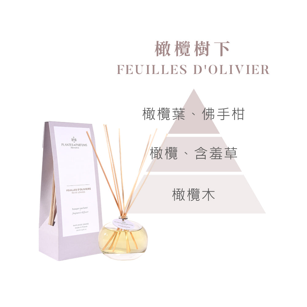 法式擴香竹-經典款