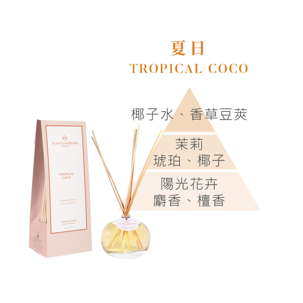 法式擴香竹-經典款