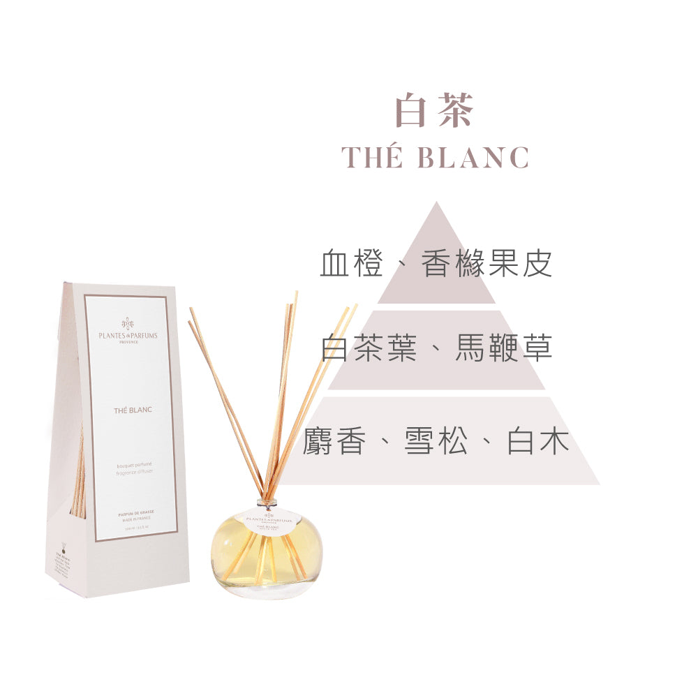 法式擴香竹-經典款