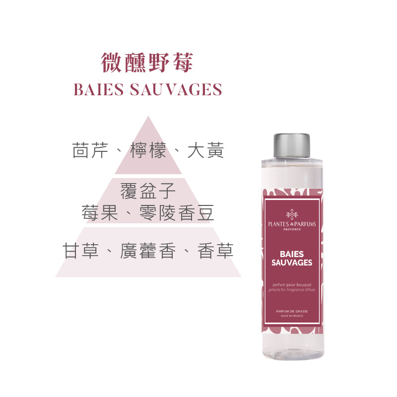 蔚藍海岸擴香竹