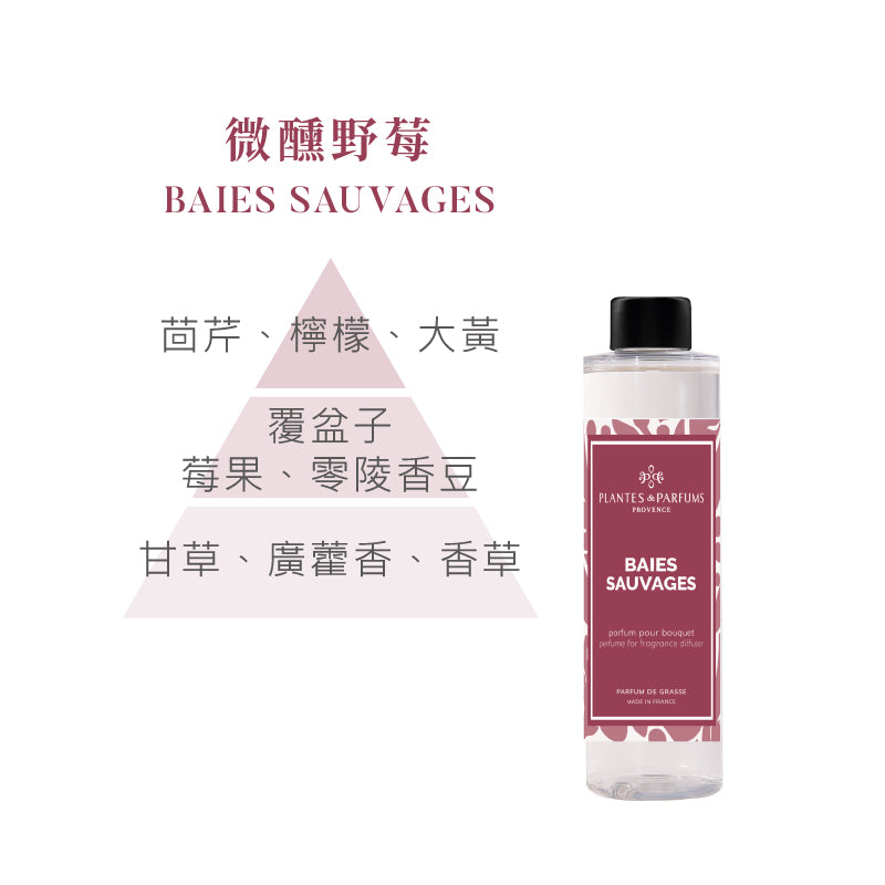 蔚藍海岸擴香竹