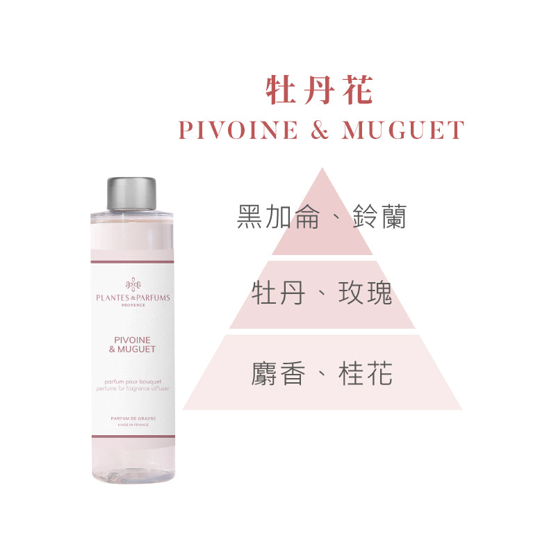 法式擴香竹-經典款