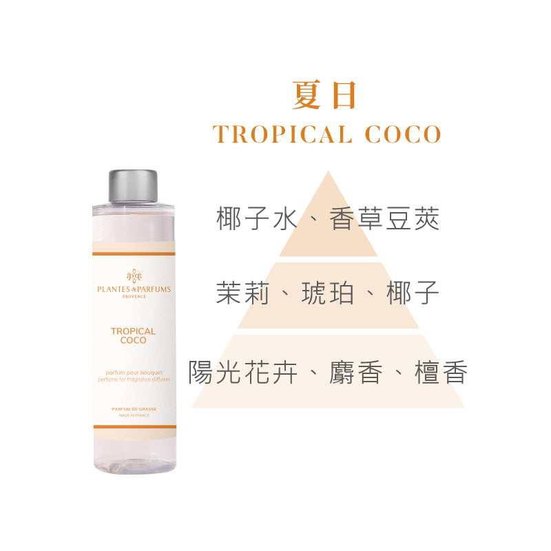 法式擴香竹-經典款