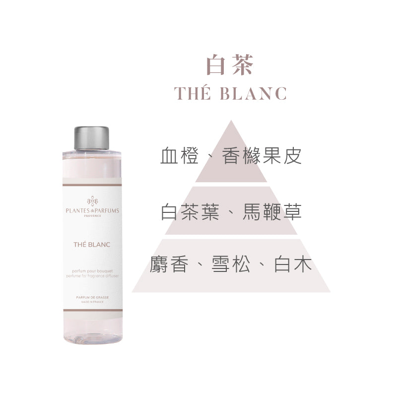 法式擴香竹-經典款